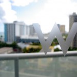 w-logo-window