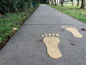 Footprint Path in ECP