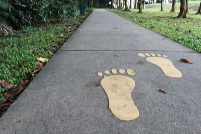 Footprint Path in ECP