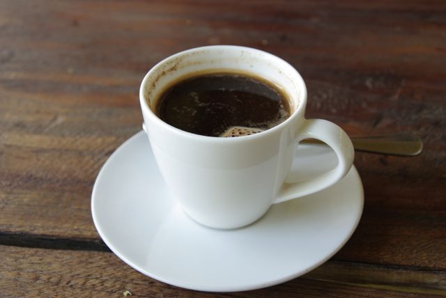 kopi luwak