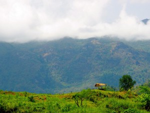 Mekong River Cruise