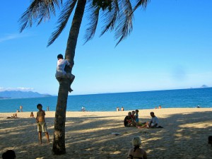 Boy climbing tree in Nha Trang, Vietnam