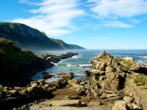 Tsitsikamma National Park in South Africa