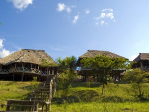 amazonia expeditions lodge