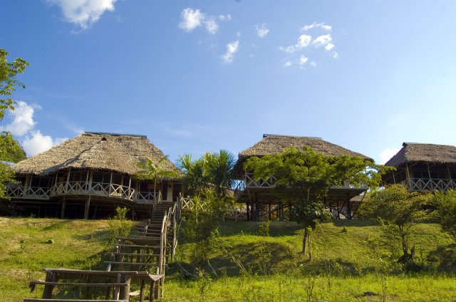 amazonia expeditions lodge