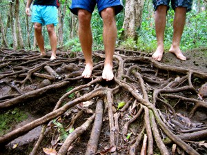 hiking to wailua falls