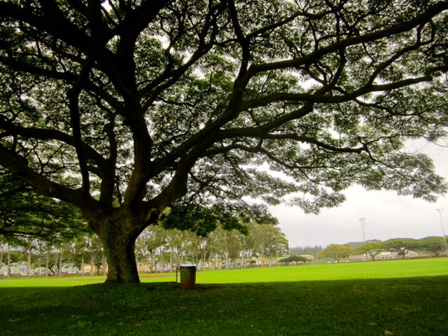 Mililani park