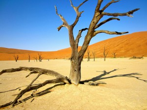 namibia, africa