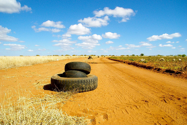 potato field in botswana