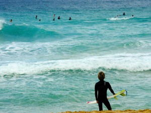 Surfer watching the North Shore