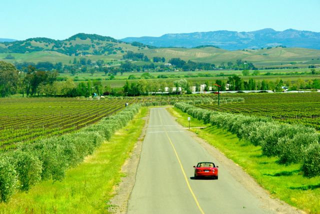 sonoma-wine-tasting