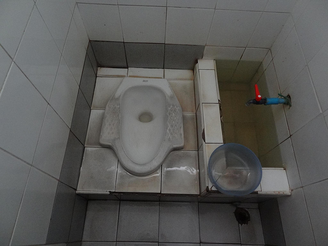 squat toilet