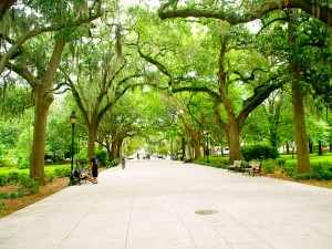 Savannah, Georgia park