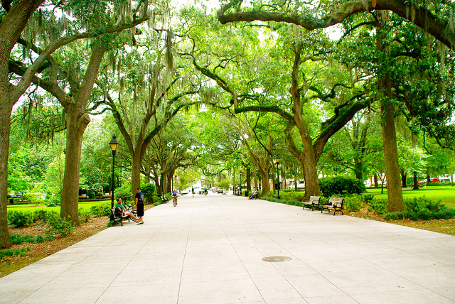 Savannah, Georgia park