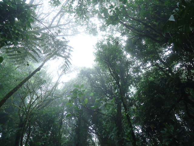 Costa Rica - Arenal 075