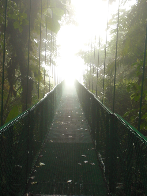 Costa Rica - Monteverde 093