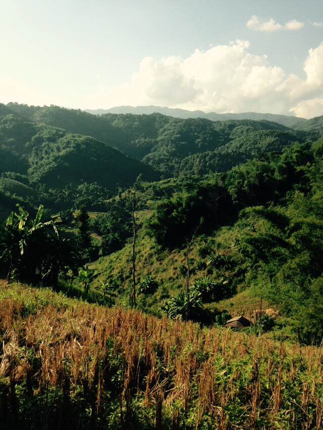 northern thailand